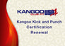 Kangoo Kick and Punch Certification Renewal